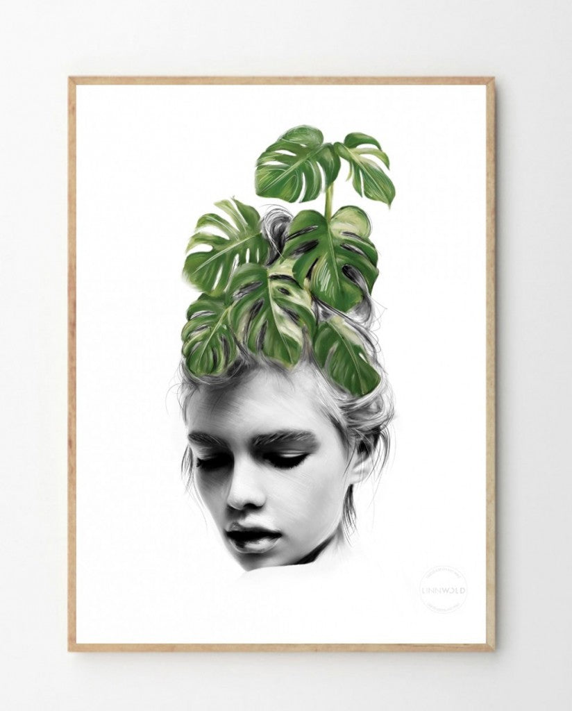 Monstera