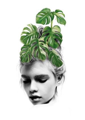 Monstera