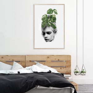Monstera